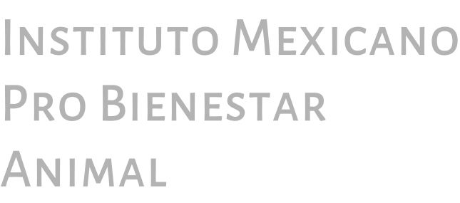Instituto Mexicano Pro Bienestar Animal
